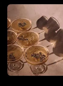 Dion members at a curated restaurant